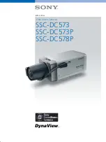 Предварительный просмотр 1 страницы Sony DynaView SSC-DC573 Features & Specifications