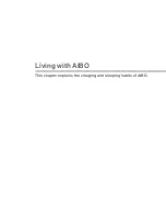 Preview for 35 page of Sony ERS-210 AIBO Dancer User Manual