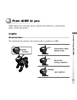 Preview for 51 page of Sony ERS-210 AIBO Dancer User Manual