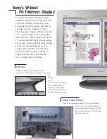 Preview for 3 page of Sony FD Trinitron GDM-FW900 Brochure & Specs