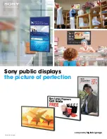 Sony FWD-42B2 Brochure preview