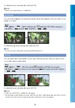 Предварительный просмотр 75 страницы Sony Handycam HDR-CX500E Handbook