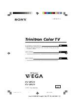 Предварительный просмотр 113 страницы Sony KV-DR29M93 Service Manual