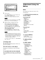 Предварительный просмотр 17 страницы Sony LMD-1510W Operating Instructions Manual