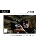 Sony NEX-FS100E Brochure & Specs preview