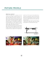 Preview for 44 page of Sony NEX-FS700R Handbook