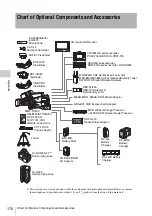 Preview for 176 page of Sony PMW-TD300 Operating Instructions Manual