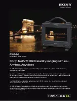 Sony PVM-741 Brochure & Specs preview