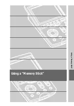 Preview for 197 page of Sony RM-NX7000 Navitus Operating Instructions Manual