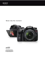 Sony SLT-A65V &alpha Specifications preview