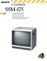 Preview for 1 page of Sony SSM-175 Specifications