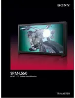 Sony Trimaster SRM-L560 Brochure & Specs preview