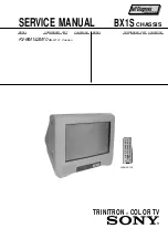 Предварительный просмотр 3 страницы Sony Trinitron RM-W101 Service Manual