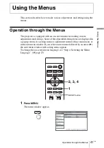 Предварительный просмотр 41 страницы Sony VPL-V W100 Operating Instructions Manual