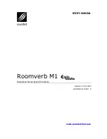 SoundArt Roomverb M1 User Manual preview