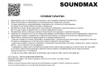 Предварительный просмотр 33 страницы SoundMax SM-CCR3064F Instruction Manual