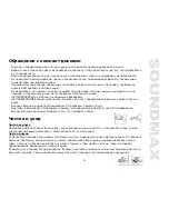 Предварительный просмотр 31 страницы SoundMax SM-CDM1035 Instruction Manual