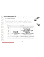 Предварительный просмотр 38 страницы SoundMax SM-CDM1050 Instruction Manual