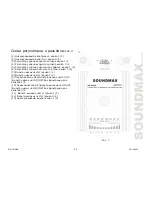 Предварительный просмотр 29 страницы SoundMax SM-SA604 Instruction Manual