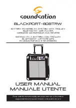 Preview for 1 page of soundsation Blackport 80BTRW User Manual