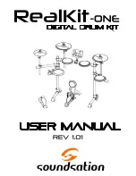 soundsation RealKit-One User Manual предпросмотр