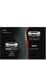 SoundStorm ML39USA User Manual preview