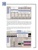 Предварительный просмотр 13 страницы SoundToys Crystallizer User Manual