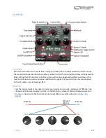 Предварительный просмотр 20 страницы Source Audio Ventris Dual Reverb User Manual