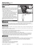 Preview for 51 page of Southland SWB163150E Operator'S Manual