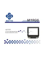 Предварительный просмотр 1 страницы SOYO M19GS User Manual