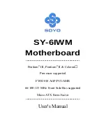 Предварительный просмотр 1 страницы SOYO SY-6IWM User Manual