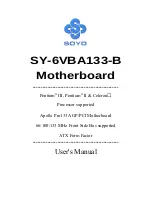 Preview for 1 page of SOYO SY-6VBA133-B User Manual