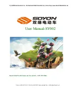 Soyon SY001 User Manual preview