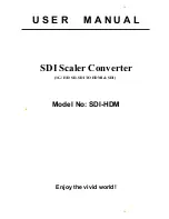 Space Television SDI-HDM User Manual preview