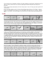 Предварительный просмотр 34 страницы spacewalker SIGRC61 Building And Flying Instructions