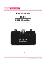 Spark Fabrica Kungfupao SF-K1 User Manual предпросмотр