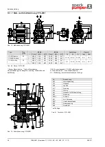 Предварительный просмотр 36 страницы Speck pumpen CSY Series Operating Instructions Manual