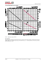 Предварительный просмотр 101 страницы Speck pumpen CSY Series Operating Instructions Manual