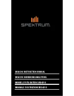 Spektrum SRS4210 Instruction Manual предпросмотр