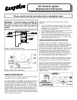 Preview for 1 page of SPI EasyFire Series Replacement Instruction