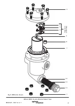 Preview for 17 page of Spirax Sarco 0722195 Installation And Maintenance Instructions Manual