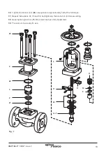 Preview for 13 page of Spirax Sarco BSA3HP Installation And Maintenance Instructions Manual