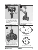 Preview for 35 page of Spirax Sarco DLV7 Installation And Maintenance Instructions Manual