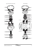 Preview for 17 page of Spirax Sarco TD62LM Installation And Maintenance Instructions Manual