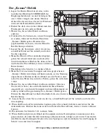 Preview for 77 page of SportDOG SportHunter 800 Operating Manual