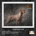 Preview for 72 page of SportDOG SportTrainer 575 Quick Start Manual