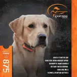 Preview for 1 page of SportDOG SportTrainer 875 Quick Start Manual