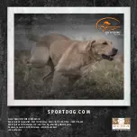 Предварительный просмотр 76 страницы SportDOG SportTrainer 875 Quick Start Manual