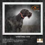 Preview for 68 page of SportDOG SportTrainer SD-1275E Quick Start Manual