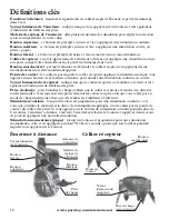 Preview for 18 page of SportDOG WetlandHunter SDT30-11229 Operating Manual